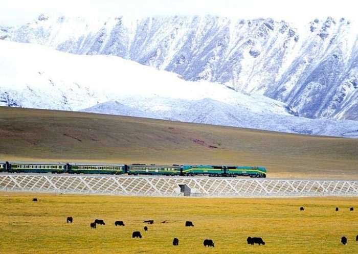 11 Days Tibet Train Tour from Shanghai