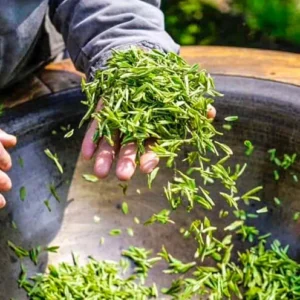 1 Day Paradise Hangzhou Cultural Tour from Shanghai by High Speed Train