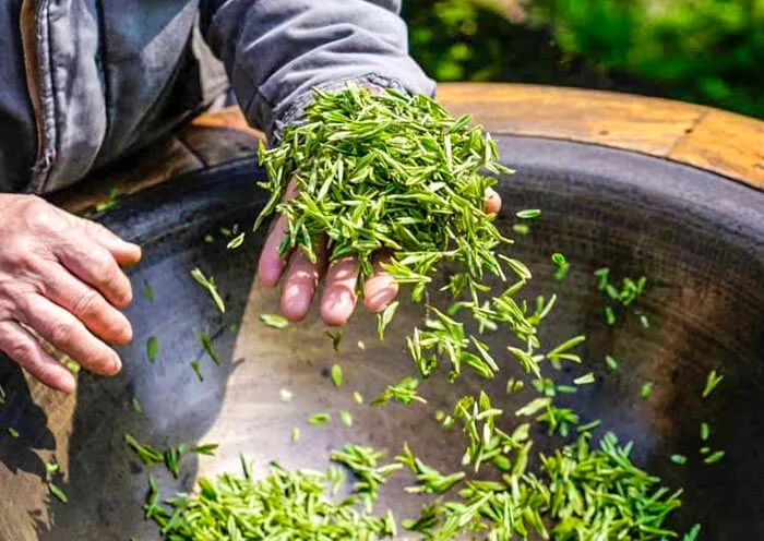 1 Day Paradise Hangzhou Cultural Tour from Shanghai by High Speed Train