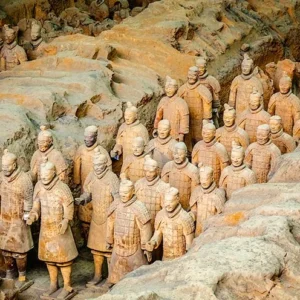 1 Day Xian Cultural Tour