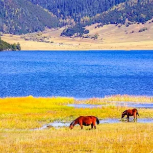 10 Days Best Sichuan & Yunnan Highlight Tour