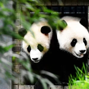 10 Days Chengdu to Lhasa and Everest Base Camp Tour