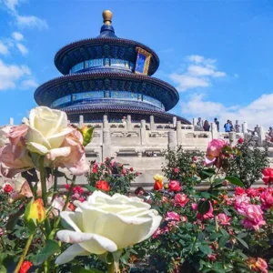 10 Days Shanghai Guilin Xian Beijing Iconic China Tour
