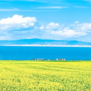 11 Days Silk Road Tour to Xinjiang Gansu Qinghai (Urumqi to Xining)