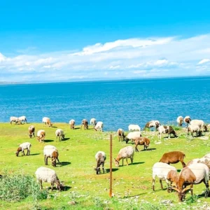 11 Days Silk Road Tour to Xinjiang Gansu Qinghai (Urumqi to Xining)