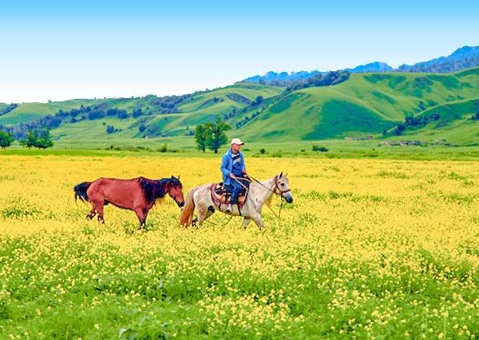 12 Days Amazing Northern Xinjiang Group Tour: Idyllic Villages, Lakes, Grasslands, Deserts