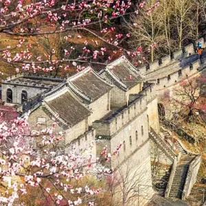 12 Days Real China Discovery from Beijing to Hong Kong with Pandas & Guilin