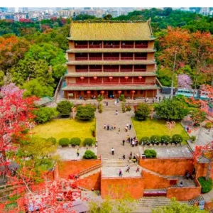 2 Days Guangzhou Food Tour with Best Cantonese Cuisines, Dim Sum & Street Food