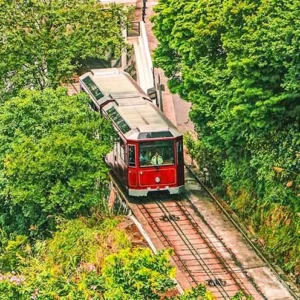 3 Days Hong Kong Shenzhen Urban Landscape Tour by High Speed Train