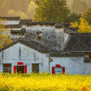 4 Day Huangshan Heritage Tour: Yellow Mountain, Hongcun & Xidi Ancient Villages