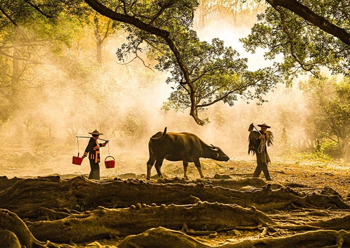 4 Days Xiapu Mudflat Photo Tour