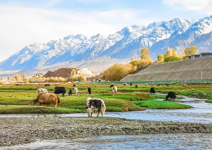 8 Days Xinjiang Culture & Nature Tour: Urumqi Tianchi Turpan Kashgar Tashkurgan