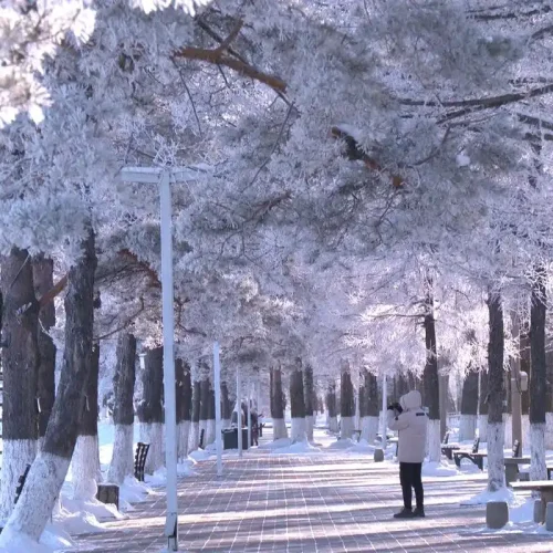 Daxing’anling Daxing'anling