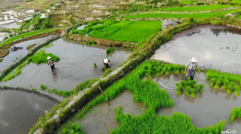 Hani ethnic village titian