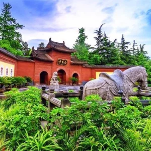 1 Day Longmen Grottoes Tour with White Horse Temple & Ancient Luoyang