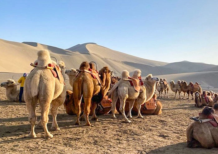 5 Days Dunhuang Zhangye Tour by High-speed Train: A Glimpse of Gansu Corridor
