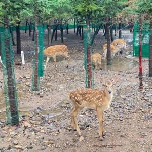 11 Days Beijing Datong Hohhot Baotou Ordos Tour - Explore 3 Ancient Capitals of China